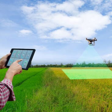 EOCO098PO TELEDETECCIÓN Y GIS CON DATOS DE SATÉLITE, DRONES Y LIDAR